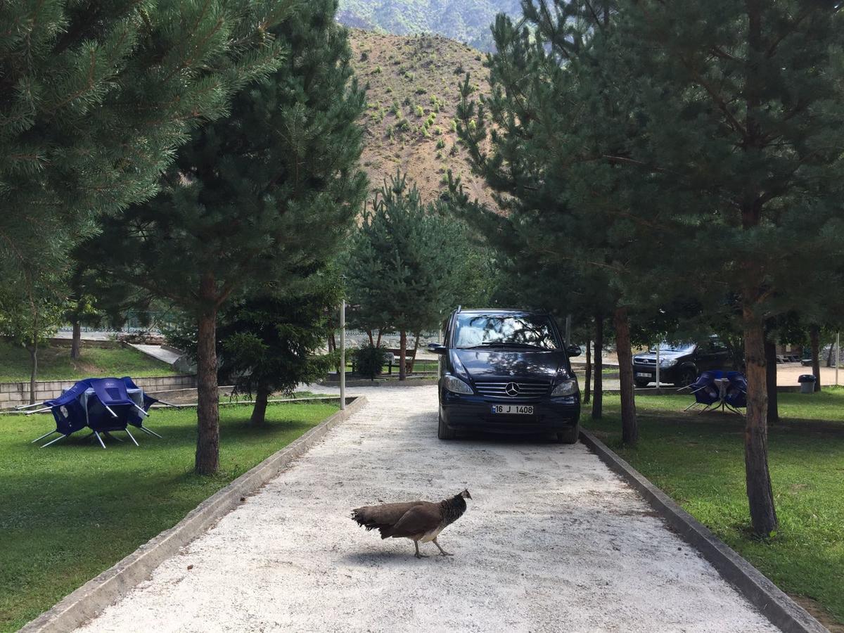 Agara Pansiyon Bostanci Εξωτερικό φωτογραφία