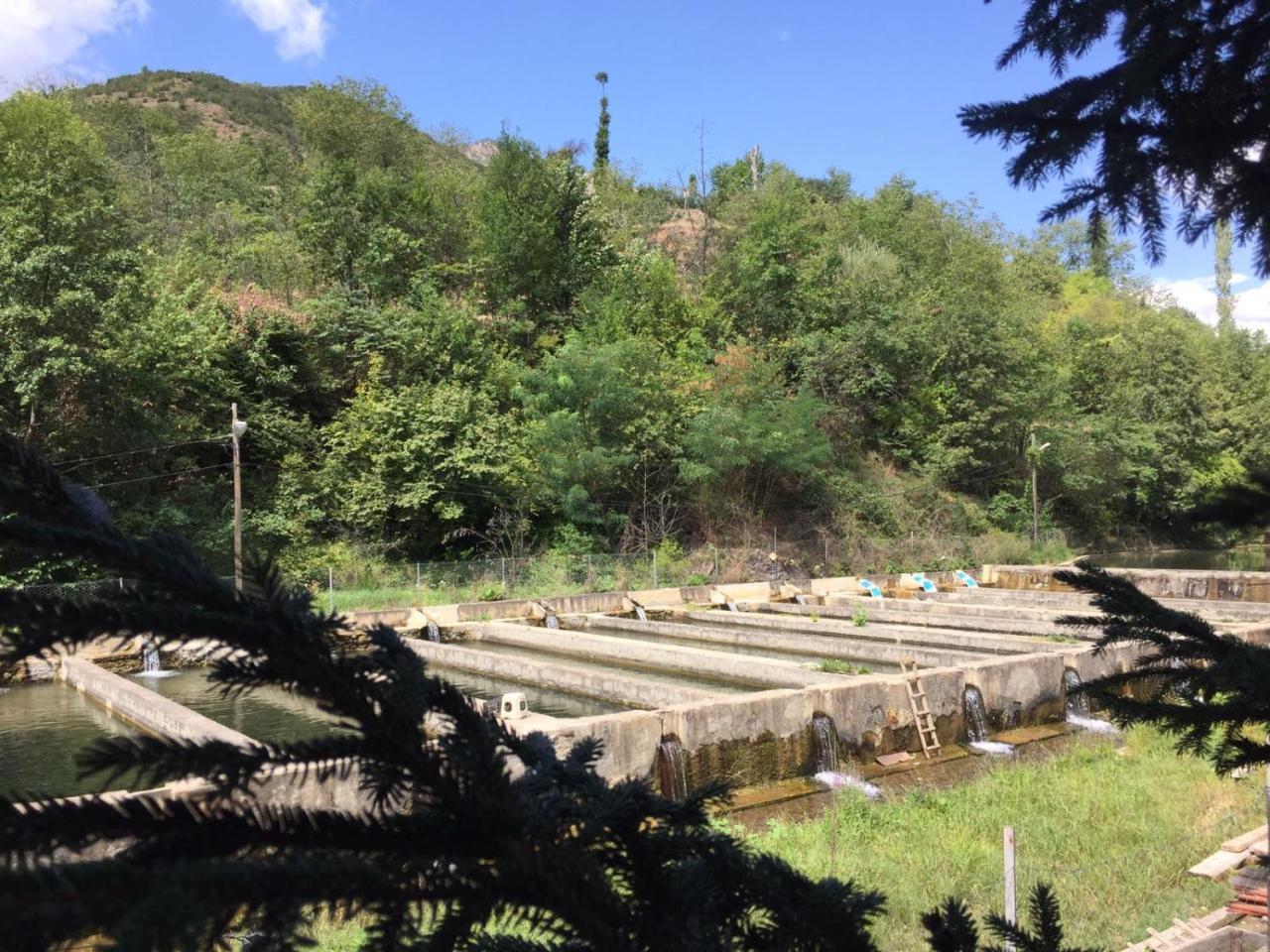 Agara Pansiyon Bostanci Εξωτερικό φωτογραφία