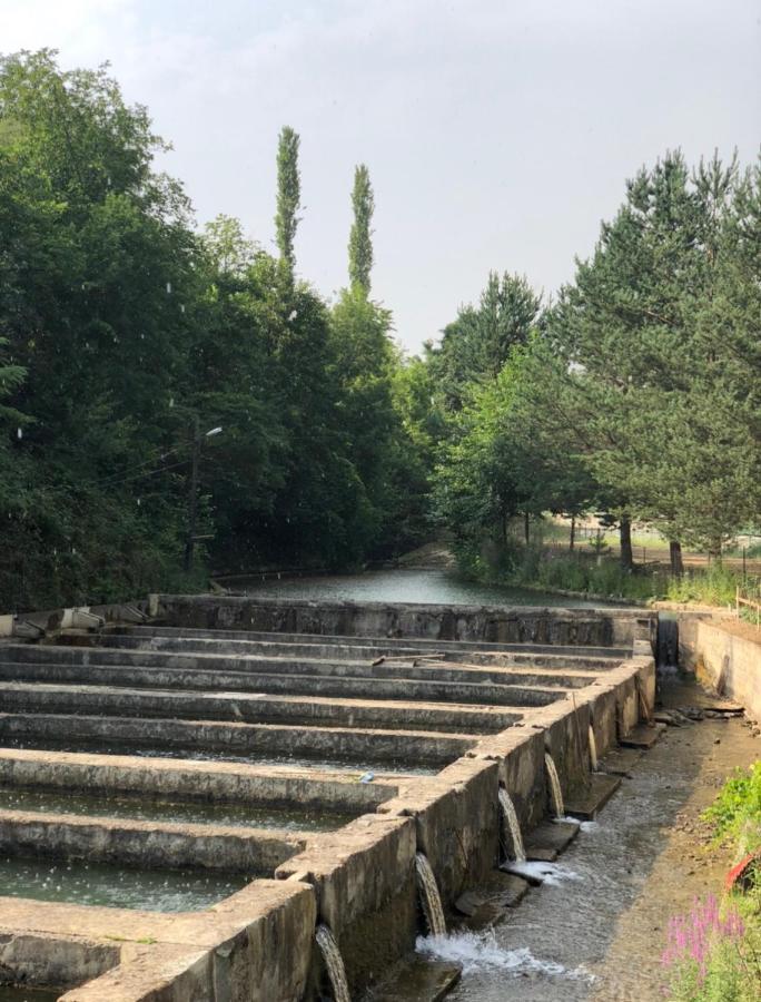 Agara Pansiyon Bostanci Εξωτερικό φωτογραφία